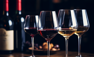 Wine Tasting 101: Sipping through the Vino Wonderland